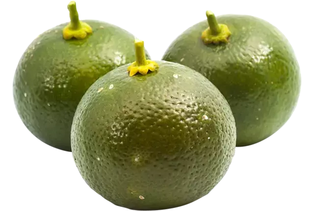 Limoen Calamansi doos 1kg